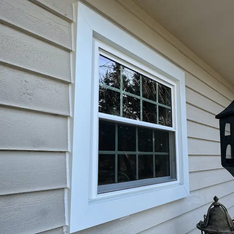 New Windows in Geneva IL